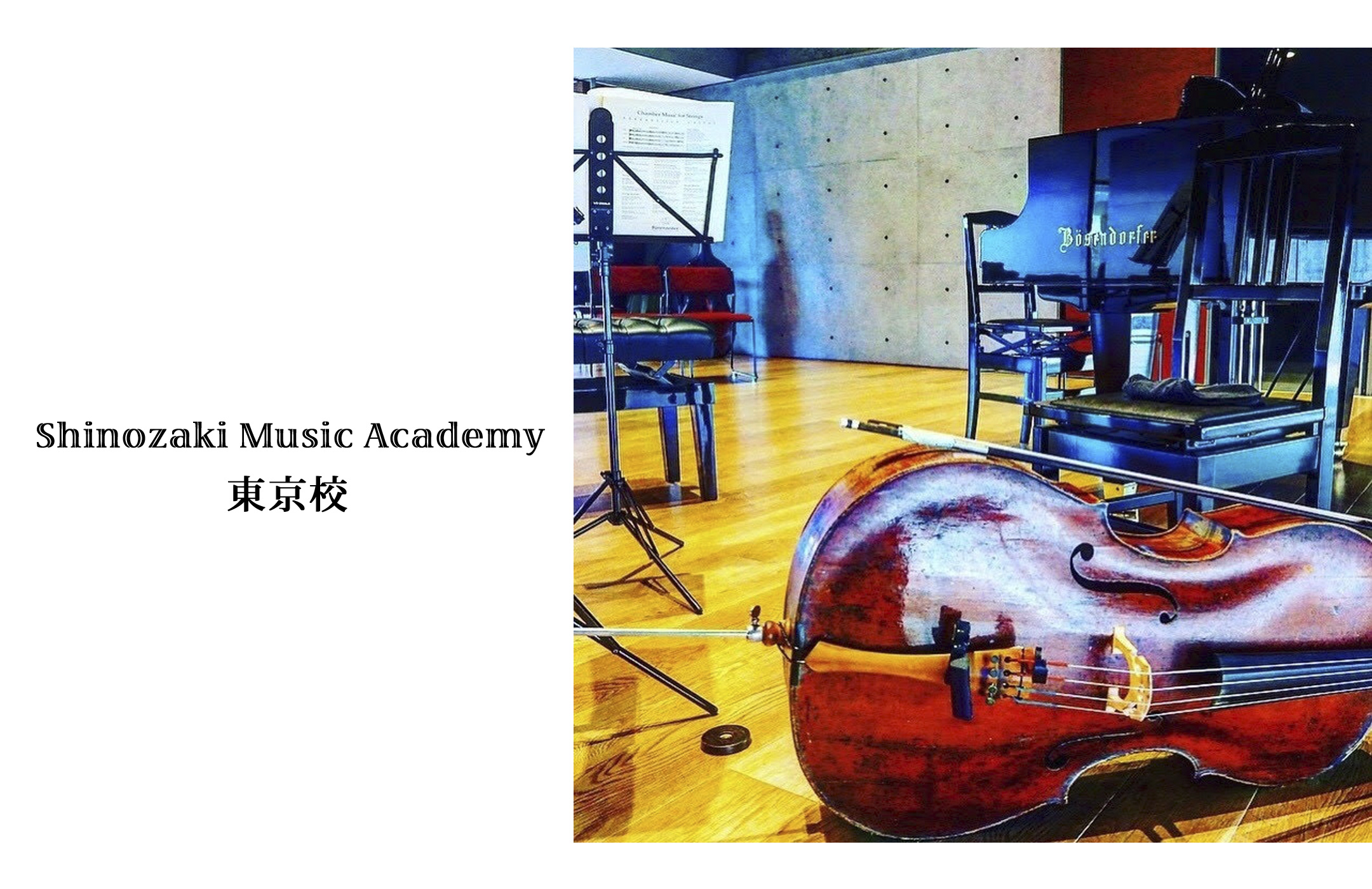 篠崎ミュージックアカデミー東京校指導者の紹介ヴァイオリン教室